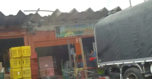 COMERCIALIZADORA MORALES COMERCIALIZADORA MORALES